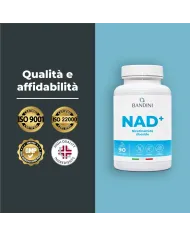 NAD+ Nicotinamide riboside cloruro 300mg - 90 capsule